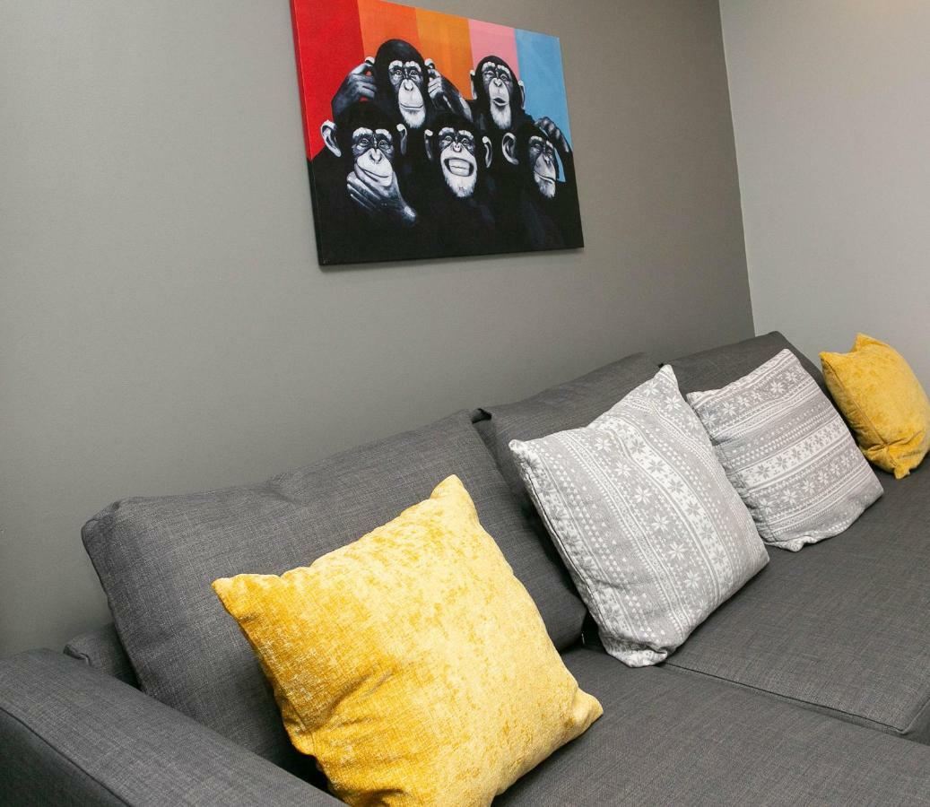 11 College Place North Belfast Luaran gambar